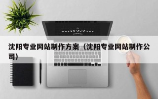 张家口沈阳专业网站制作方案（沈阳专业网站制作公司）
